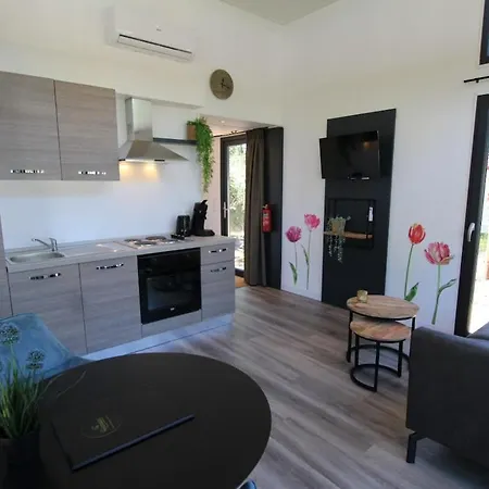 Knusse Tiny House In De Дом отдыха Барле-Нассау